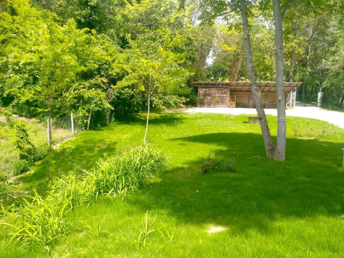 America Nei Boschi B&B Bra Exterior foto